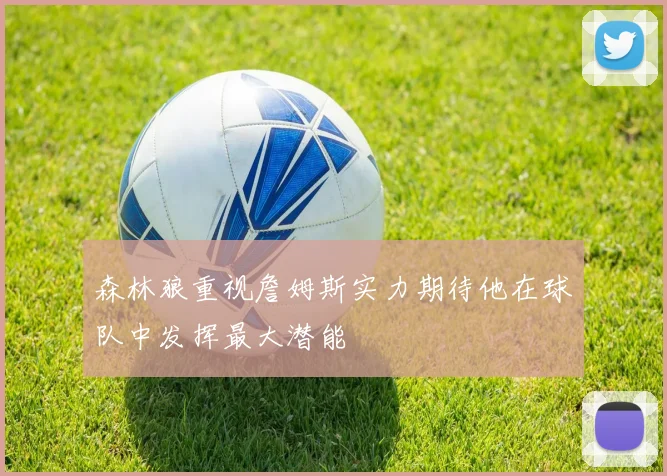森林狼重视詹姆斯实力期待他在球队中发挥最大潜能