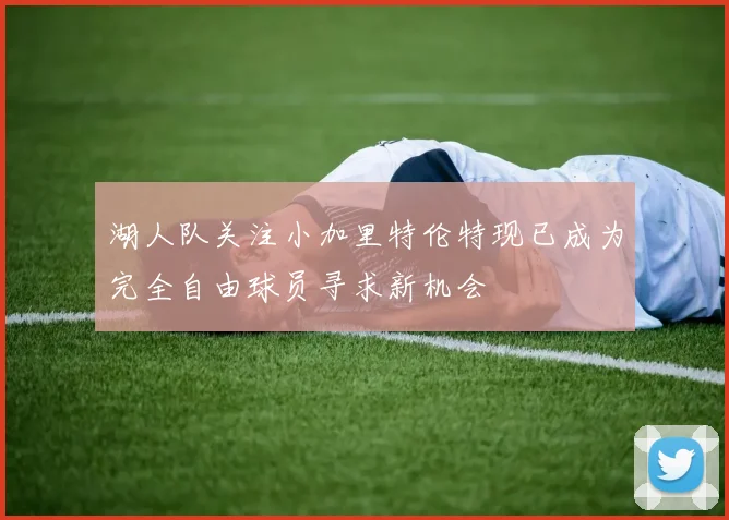 湖人队关注小加里特伦特现已成为完全自由球员寻求新机会