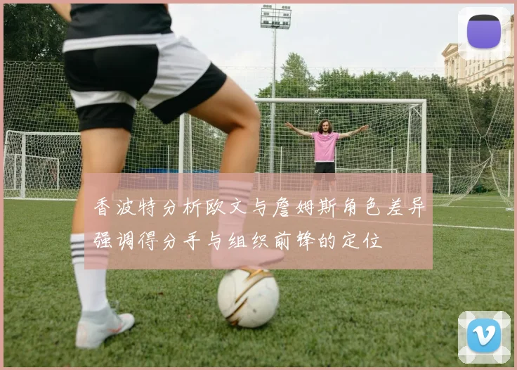 香波特分析欧文与詹姆斯角色差异强调得分手与组织前锋的定位