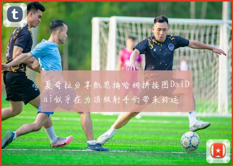 夏奇拉分享凯恩梅哈姆拼接图DaiDai似乎在为顶级射手们带来好运