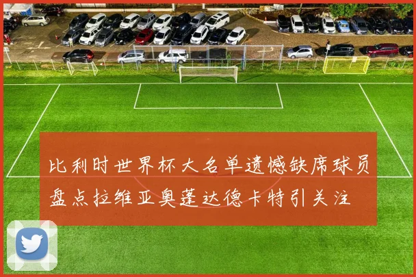 比利时世界杯大名单遗憾缺席球员盘点拉维亚奥蓬达德卡特引关注
